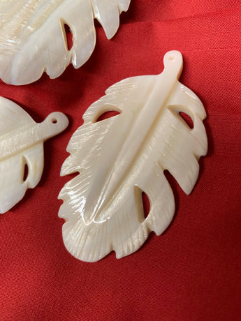 White Mother of Pearl Big Leaf Shell