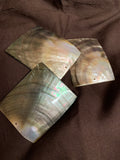 Black Lip Mother Of Pearl Rectangle Shell